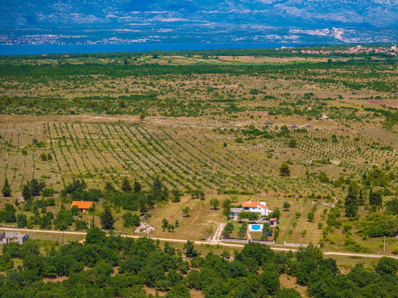 Villa Mandorla With Private Pool Zadar Luaran gambar